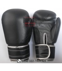 Sparring Gloves