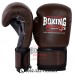 Pro Fight Gloves