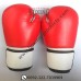 Kickboxing Gloves